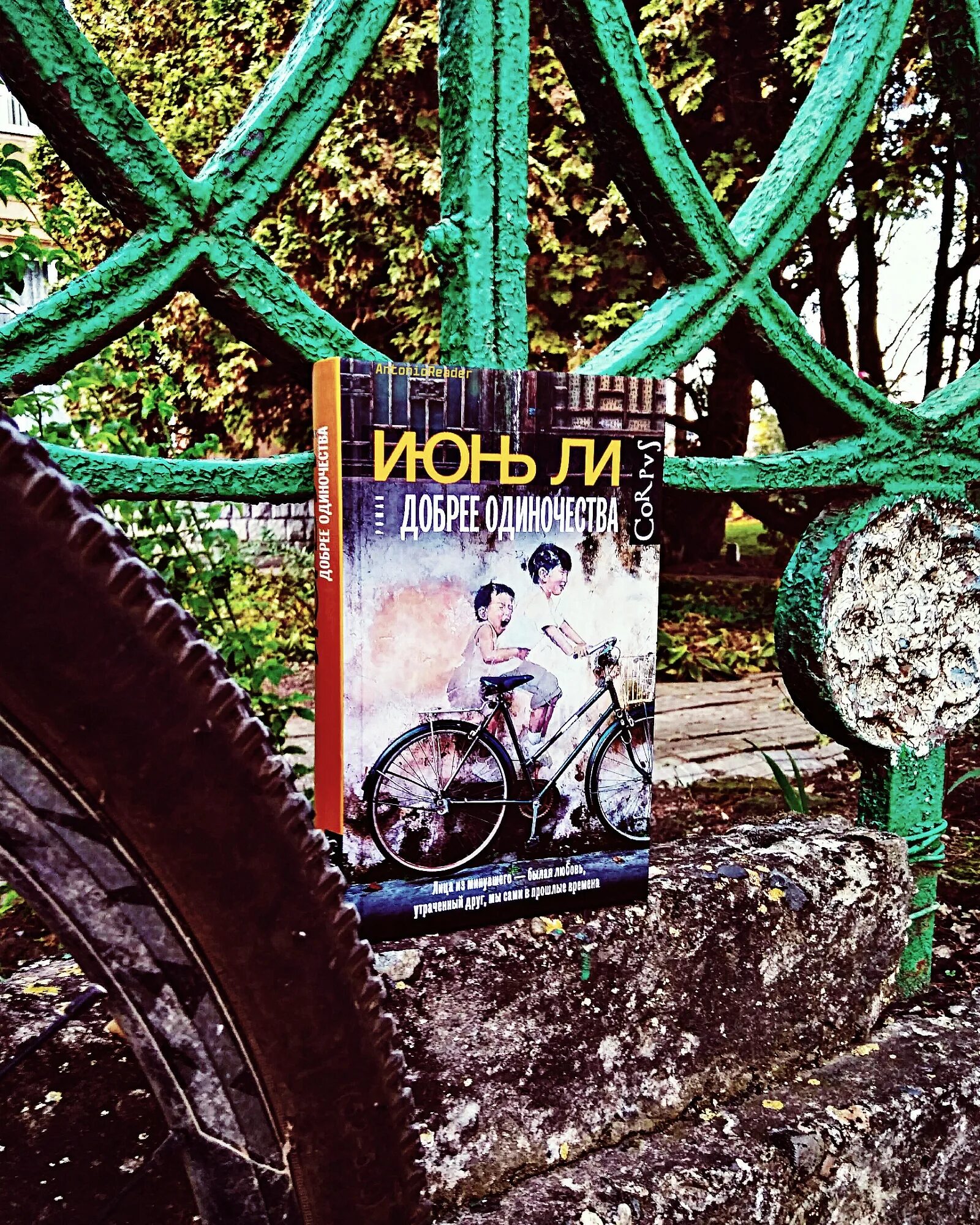 Добрее одиночества. Ли июнь &quot;добрее одиночества&quot;. ли июнь. книга доброе одиночество.