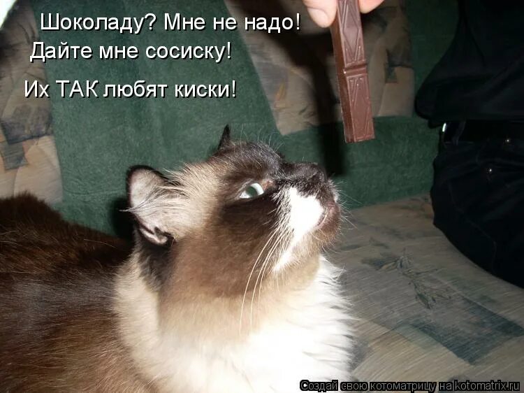 Ах оставьте. Ах оставьте мем. Пожалуйста дайте мне сосиску. Раз да еще раз. Прикол давай мясо.