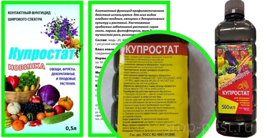 Фунгицид банджо. Солигор фунгицид. Сингента канистра. Эмбрелия фунгицид syngenta. Магнелло фунгицид.