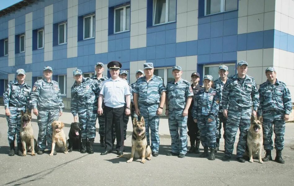 Кинолог центр. Кинологический центр Ярославль. Кинологи ФСО. Центр кинологической службы МВД Ярославль.