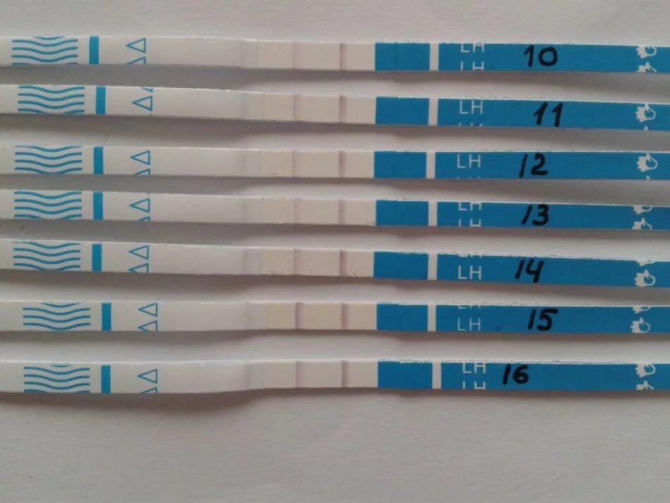 Тест бывает отрицательный. Тест на беременность полоски. Тест полоска при беременности. Тест 2 полоски. Тест полоски на овуляцию.