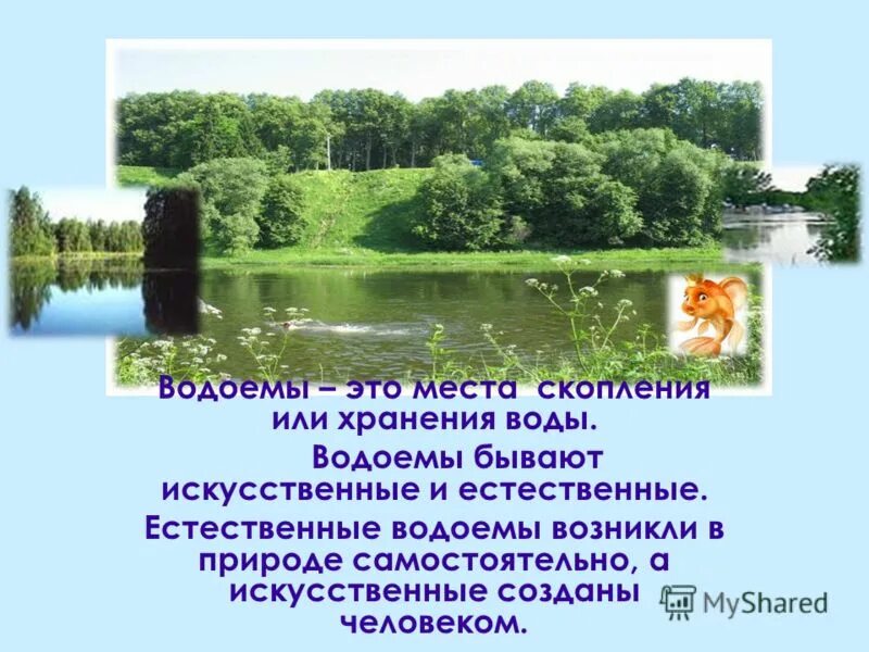 Доклад о водоемах. Презентация на тему водоемы. Водоём это определение. Сообщение о пруде.