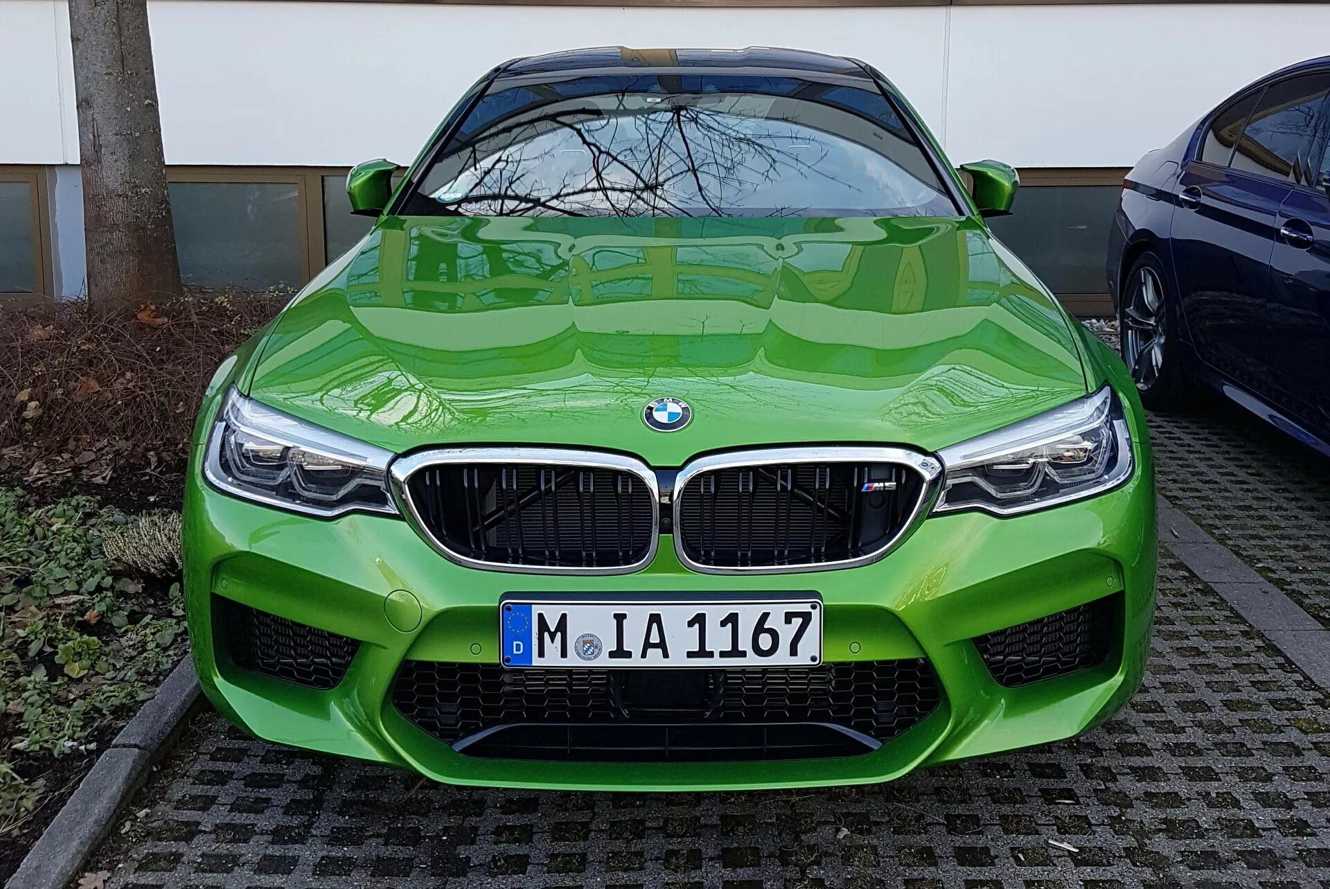 Ауди а5 зеленый матовый. Ауди а5 темно зеленая матовая. Ауди rs5 салатовая. Ауди а7 бирюзовая. 5 зеленый 7 синий.