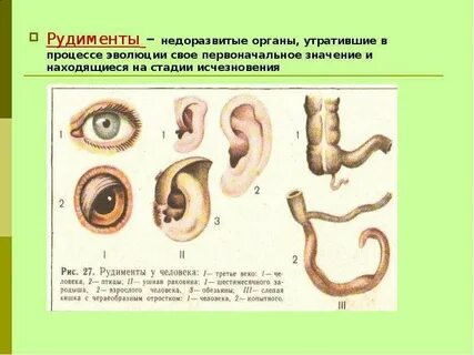 Утрачивает своей первоначальной