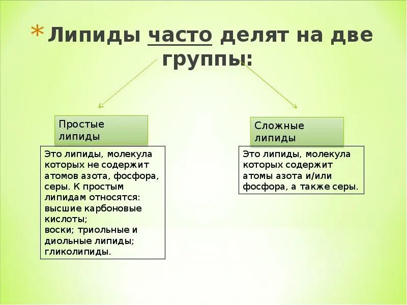 Липиды выполняющие защитную функцию. К простым липидам относятся. классификация липидов. липиды часто делят на две группы. липиды простые и сложные таблица.