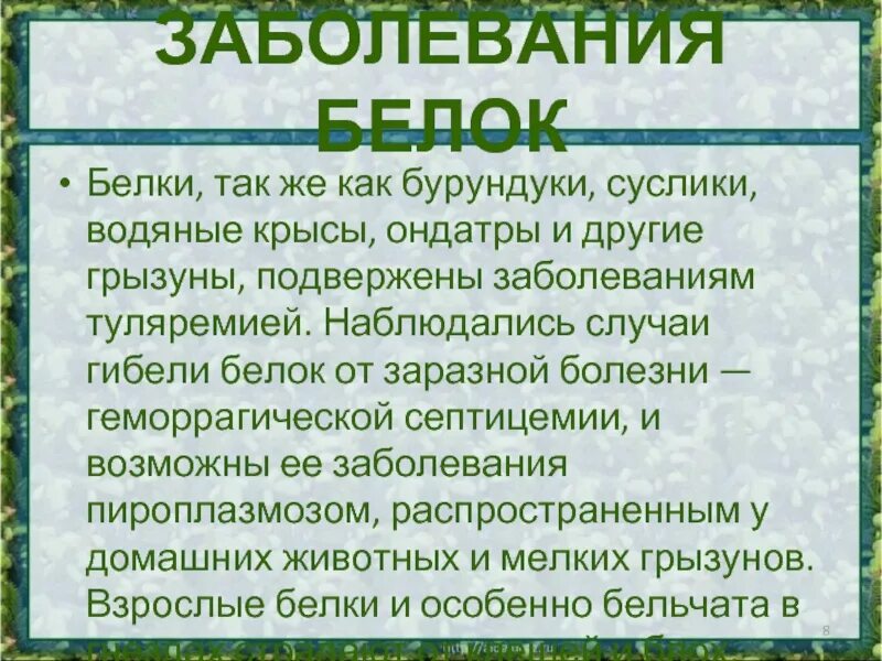 Белковая болезнь. Болезни белок в природе.