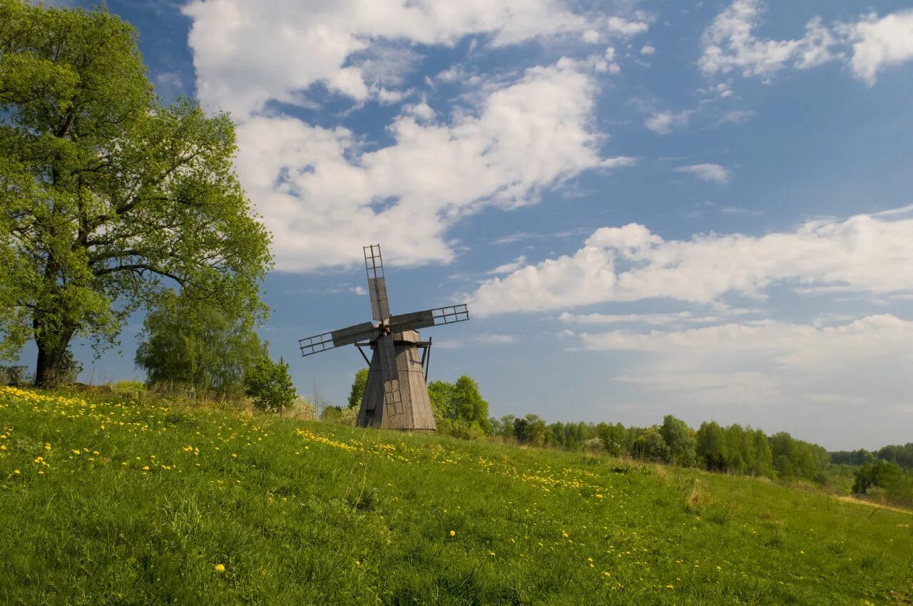 Карта брянской области с районами. Брянская область создание. Брянск область на карте. Брянский район на карте брянской области. Свенский успенский монастырь супонево.