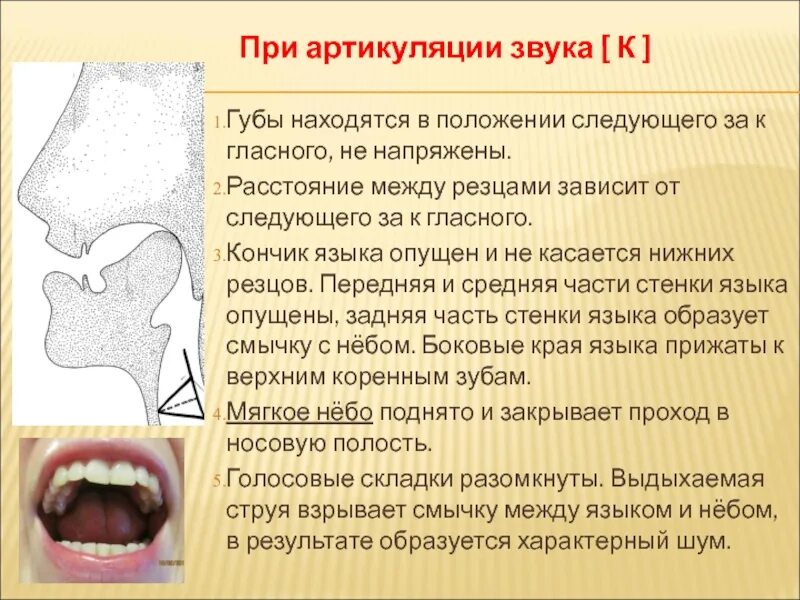 Артикуляционная характеристика звука зь. Правильный уклад органов артикуляции. Артикуляция звука щ. Положение языка при произнесении звука р. Артикуляция при произнесении звука л.