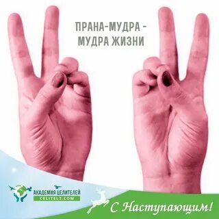 Прана мудра
