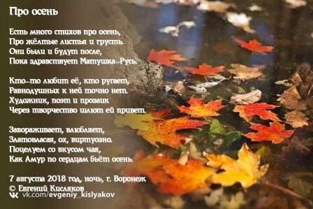 Стихи про желтую осень
