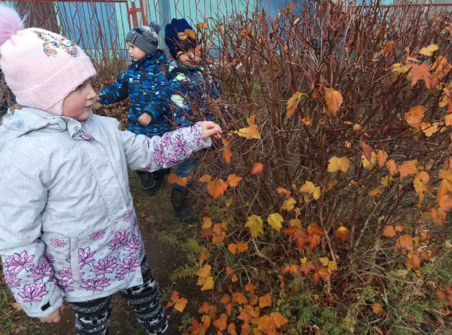 Целевая прогулка в средней группе. Целевая прогулка в детском саду. Целевая прогулка на октябрь младшая группа. Целевая прогулка с детьми 3-4 лет в сентябре. Целевая прогулка что такое улица средняя группа.