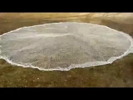 Кастинговая сеть на реке видео