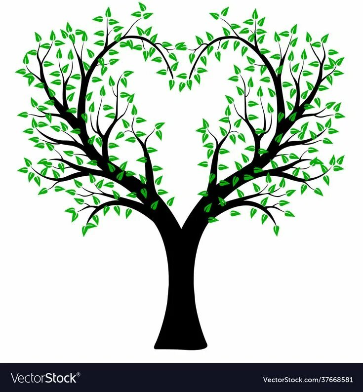 The heart of the tree