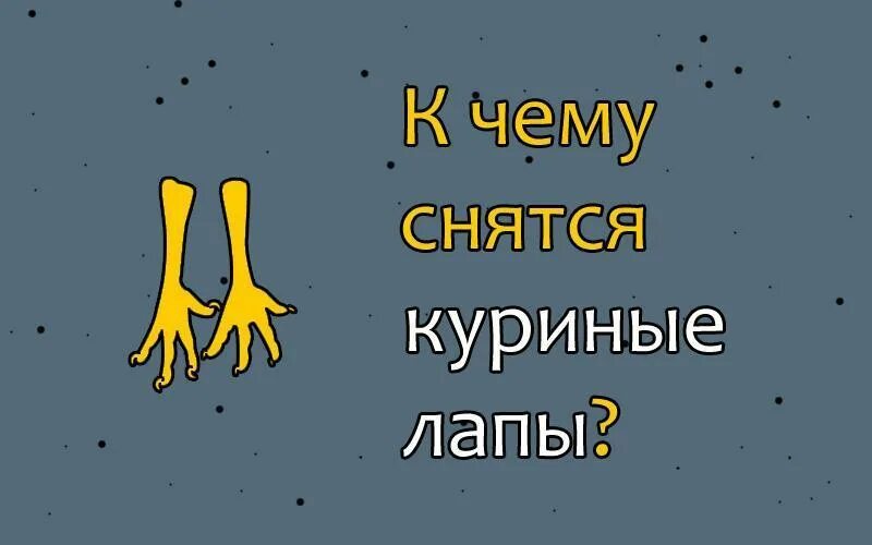 Видели лапки. К чему снятся куриные лапы. К чему снится куриная лапка. К чему снятся курочки. К чему снится курица.