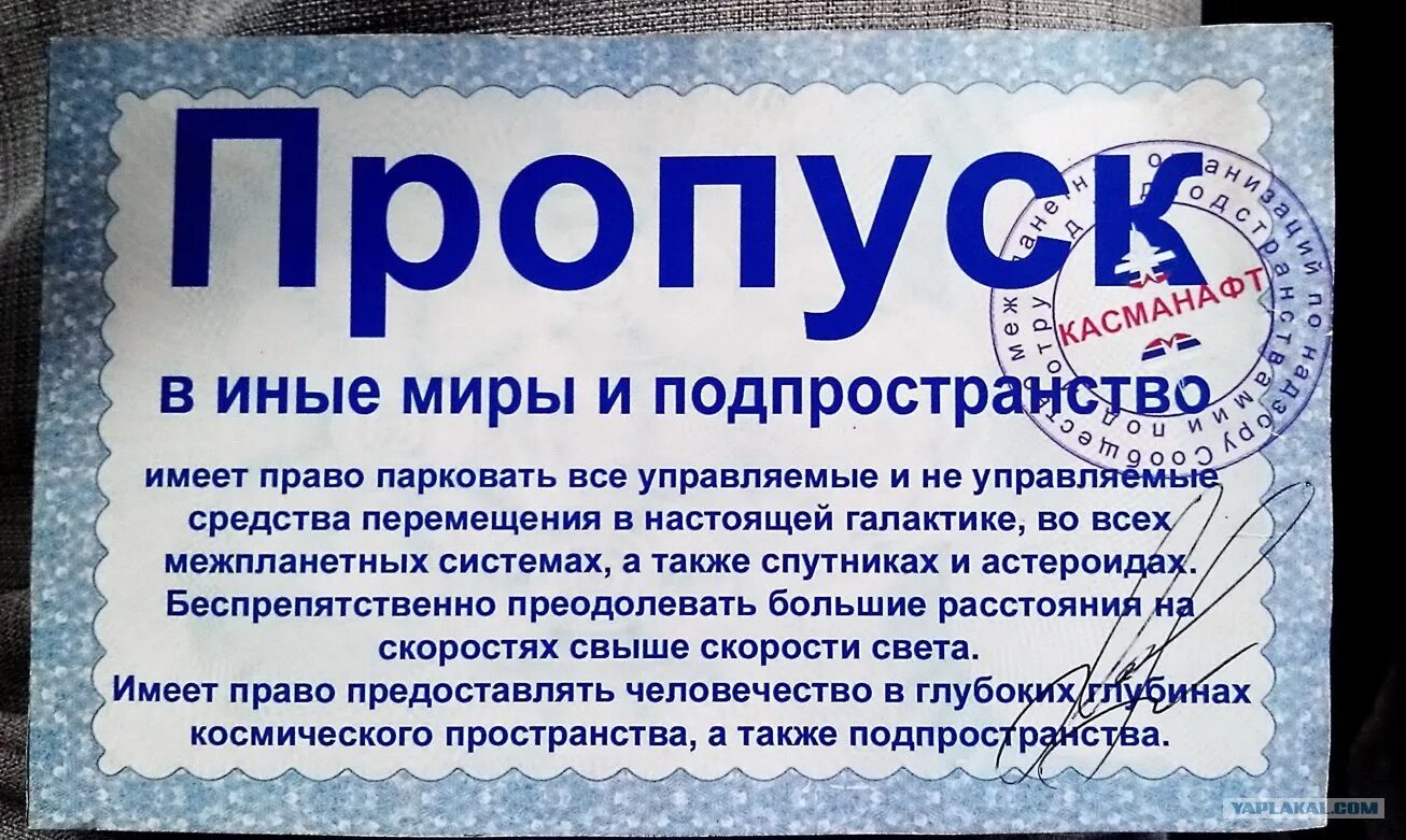 Шуточный пропуск. Пропуск в иные миры и подпространство. Пропуск на работу прикольный. Шуточный пропуск на работу.