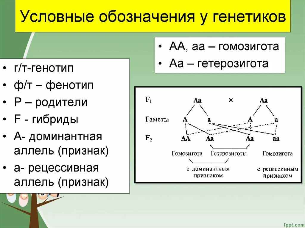 Генотип характеризует. Значки в генетике. Обозначения генетики. Обозначения в задачах по генетике. Символы в задачах по генетике.