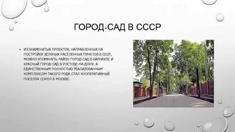 В городском саду минус