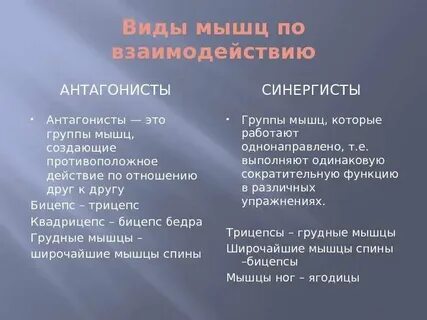 Антагонист что это простыми
