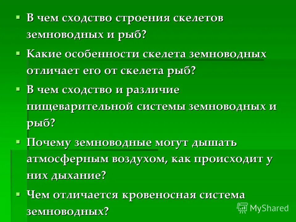 Сравнительная характеристика рыб и земноводных таблица биология 7. Сравнительная таблица рыб земноводных и пресмыкающихся. Сравнение развития рыб и земноводных. Черты сходства в строении рыб и земноводных. Общая характеристика земноводные таблица с примерами.