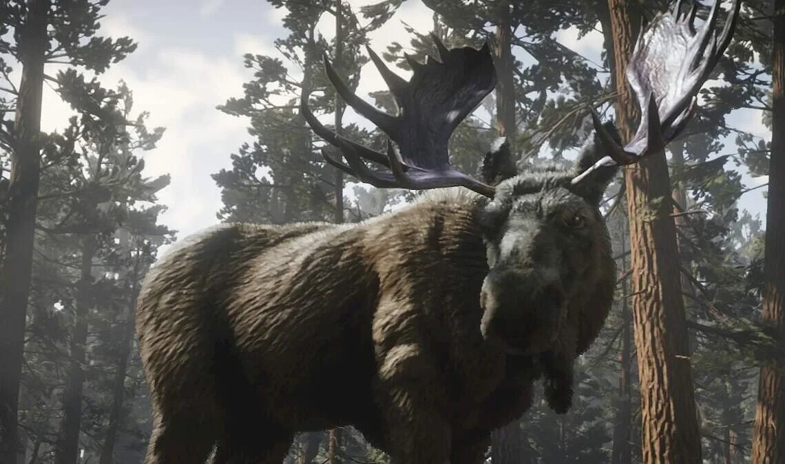 Red dead redemption 2 лось. Легендарный лось rdr 2. лось рдр rdr 2. легендарное животное rdr 2 лось.