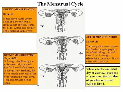 Ата-анасы жұмыста болғанда, ағасы мен әпкесі