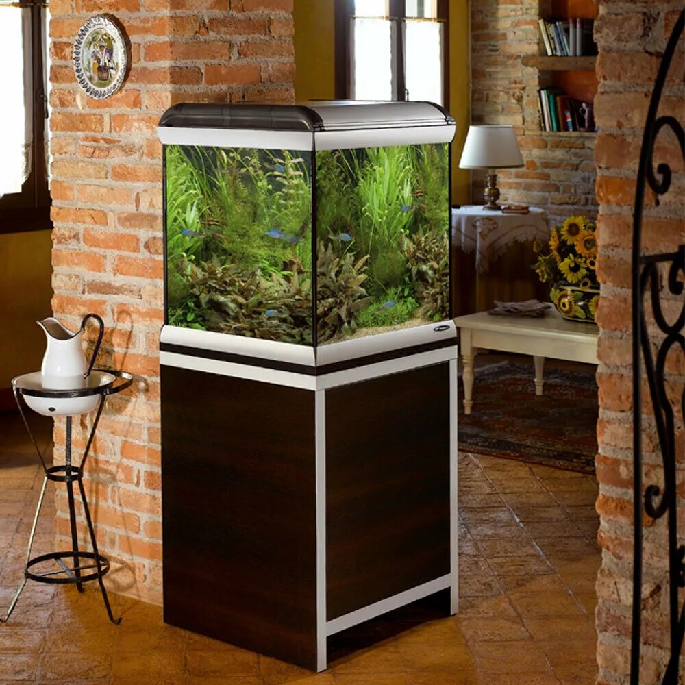 Аквариум шириной 80см*80см. Аквариум шир 100см. Аквариум 90 литров. Аквариум тонкий 15 см. Аквариум egodim nano.