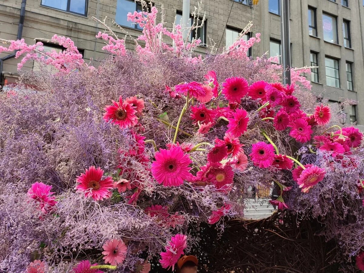 Орел город цветов. Орел город цветов. Городской сад горсад город орел. Цветы райский сад орел. Клумба в виде божьей коровки.