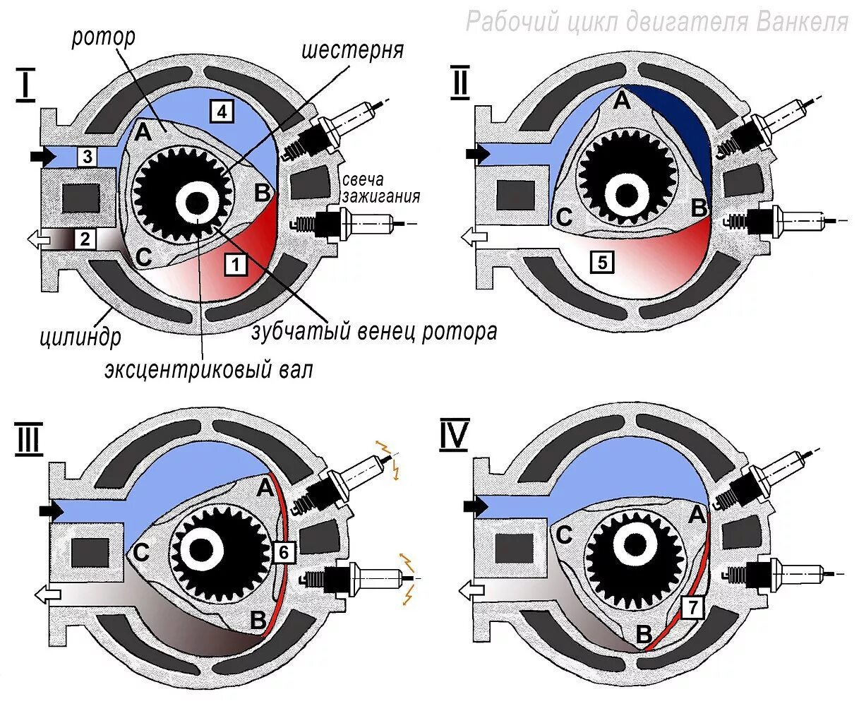 Как отличить мотор. Роторно-поршневой двигатель, двигатель Ванкеля. Схема работы роторного двигателя внутреннего сгорания. Ротернопоршнеаой двигатель Ванкеля. Роторно-поршневой двигатель принцип работы.