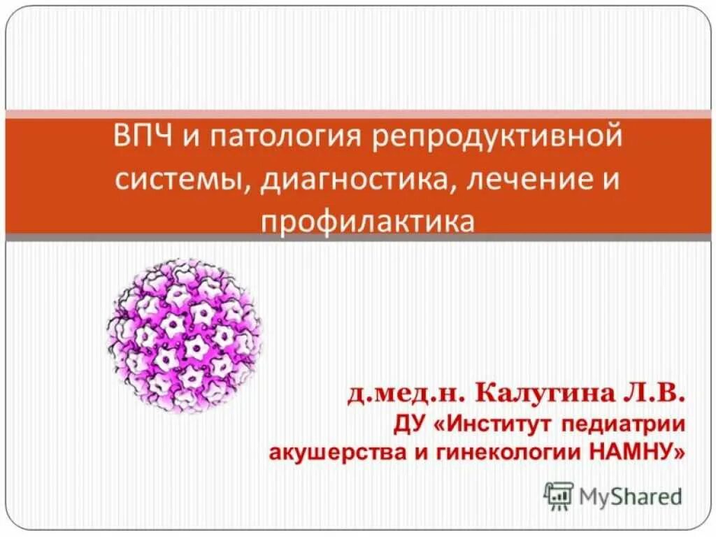 Вирус папилломы человека что в гинекологии