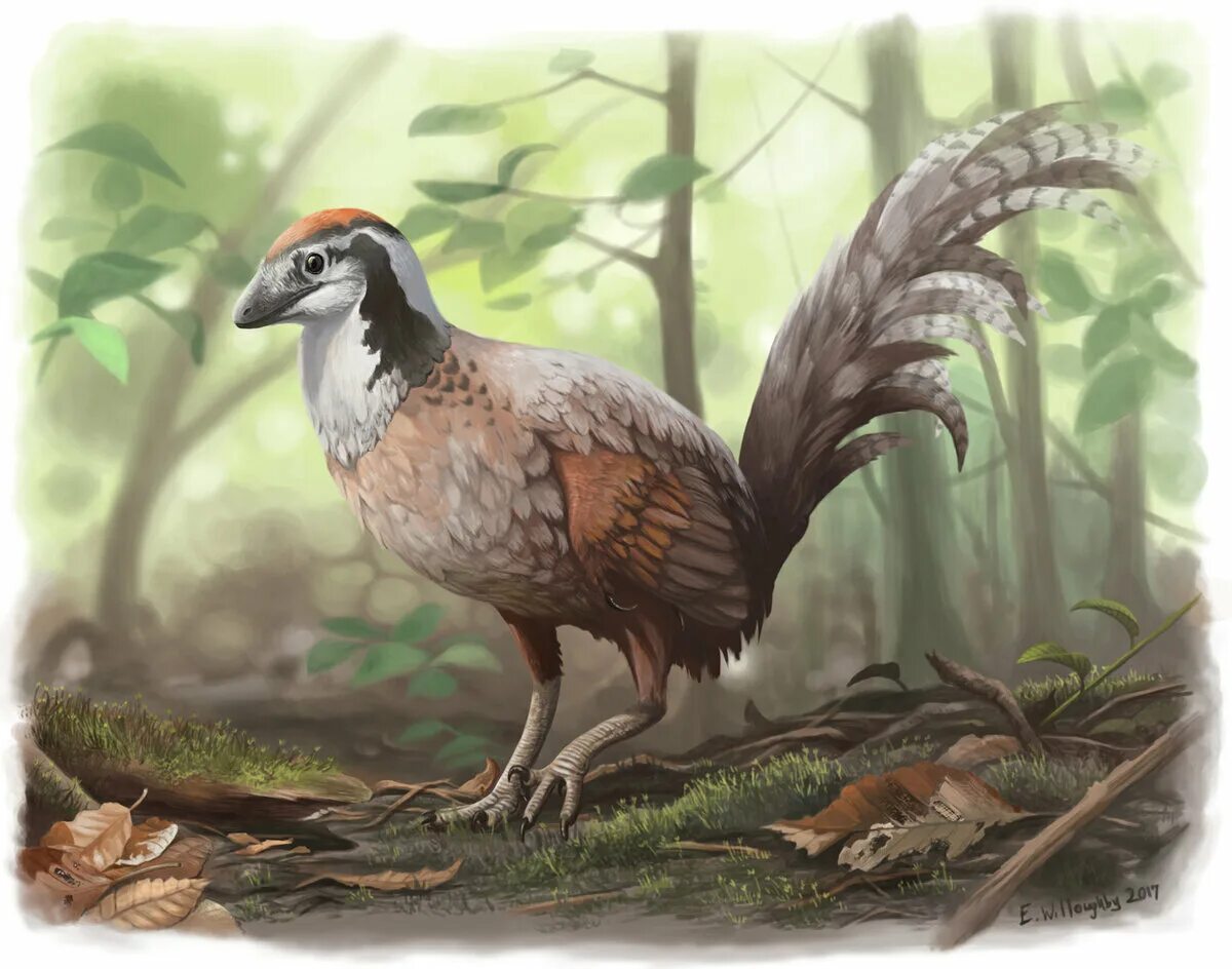 Джиньфенгоптерикс. Доисторические птицы. Древние птицы. Доисторическая курица.