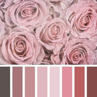 Dusty rose