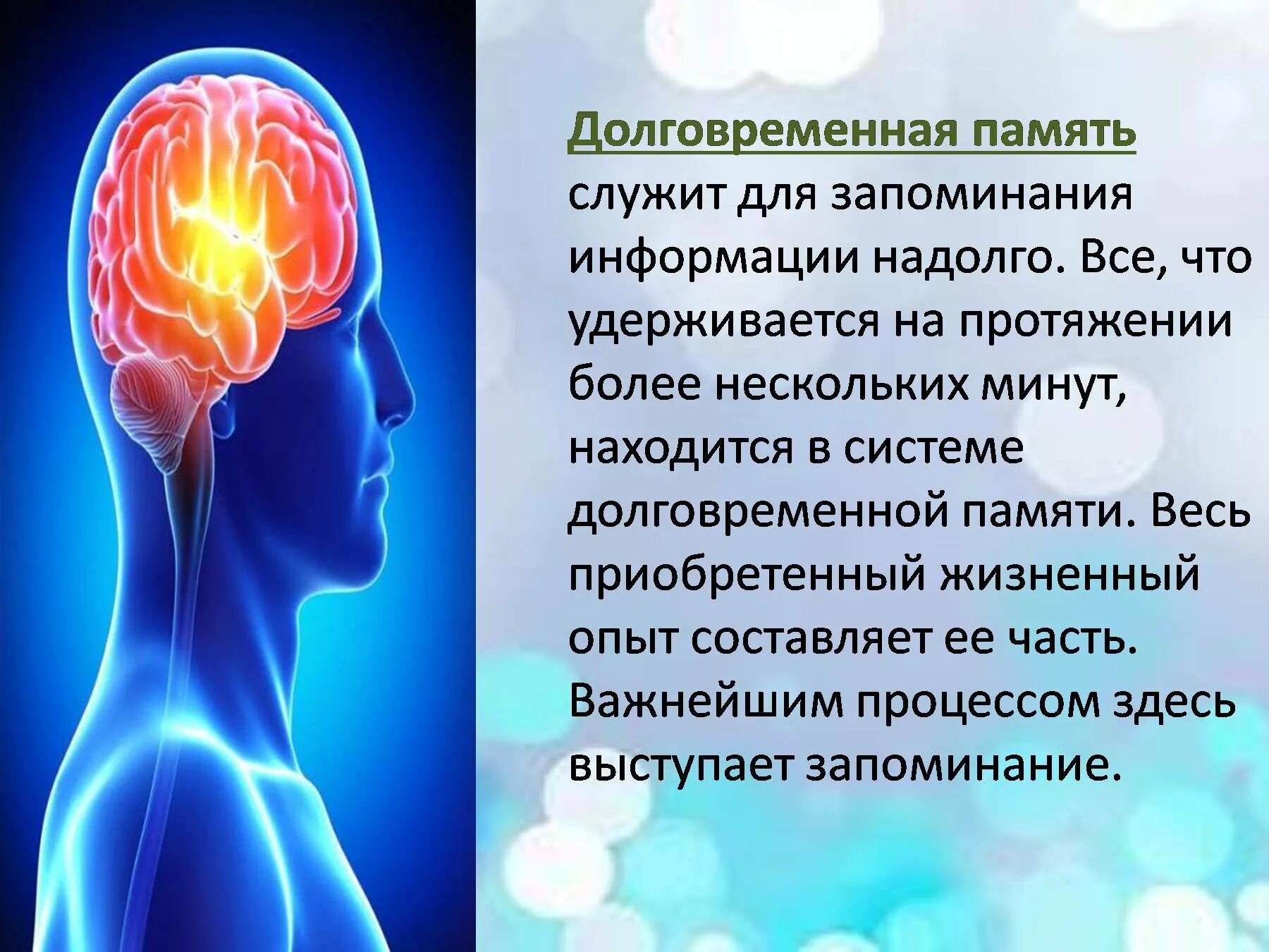 Память презентация. Презентация на тему память человека. Психология тема память. Память психология презентация. Память биология 8