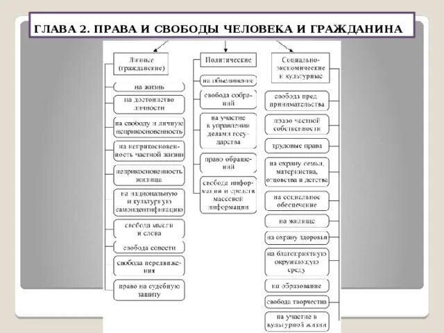 Примеры свобод граждан рф. Схема прав человека по Конституции РФ.