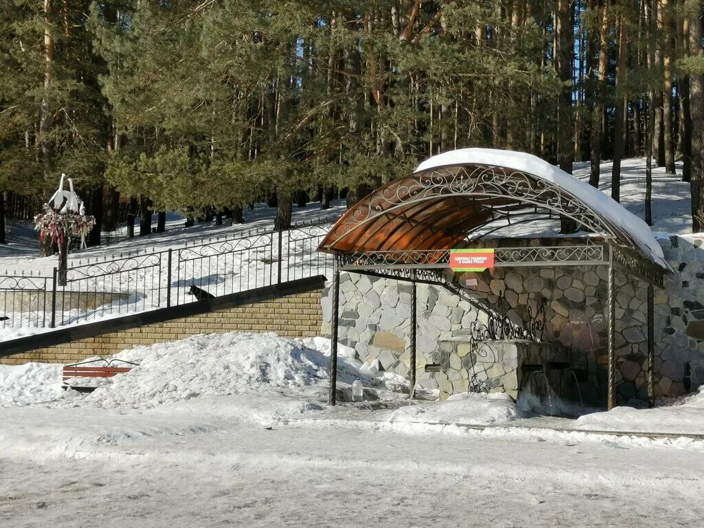 Сельское поселение родники. Войкинское сельское поселение Родник Татарстан. Корабельная роща Набережные Челны. Корабельная роща Первоуральск. Аняково Татарстан Родник.