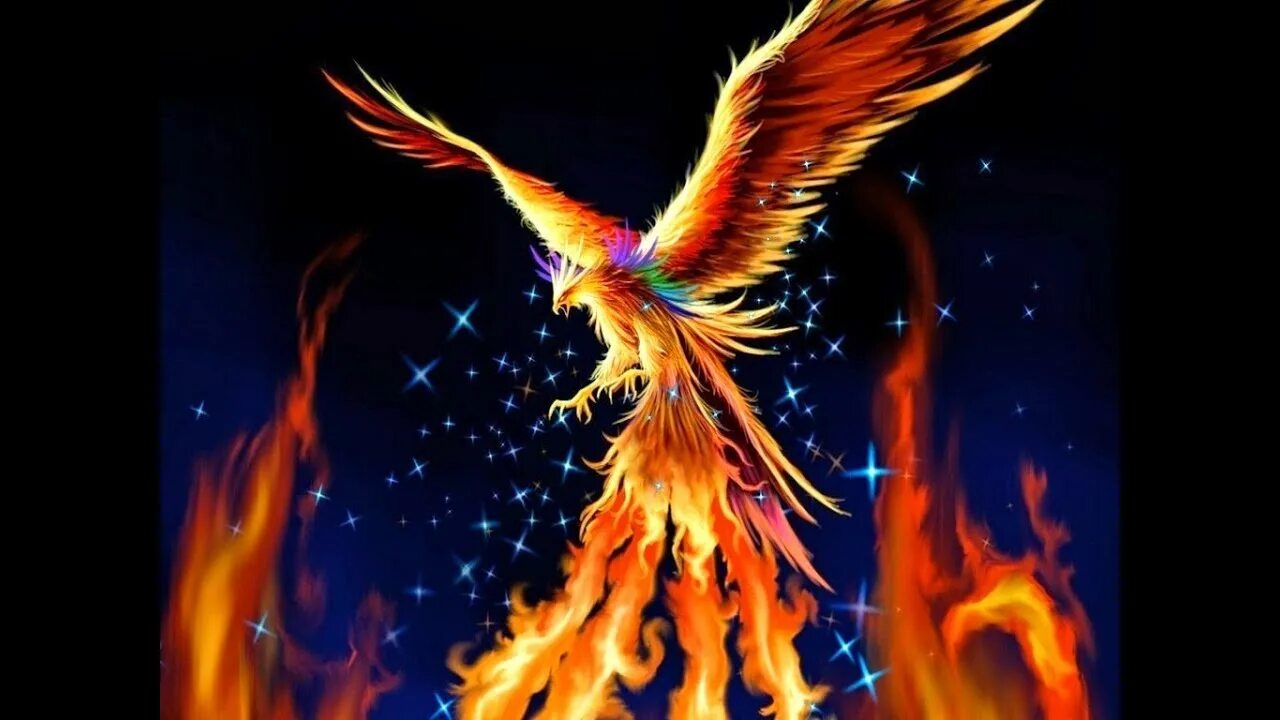 Artist wei guan Phoenix bird tattoos, Fantasy creatures art, Phoenix artwork
