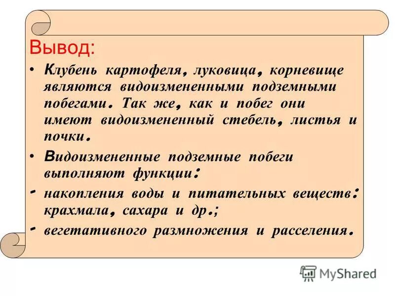 Перед Вами Фотография Побеговой Части - Mixyfotos.ru
