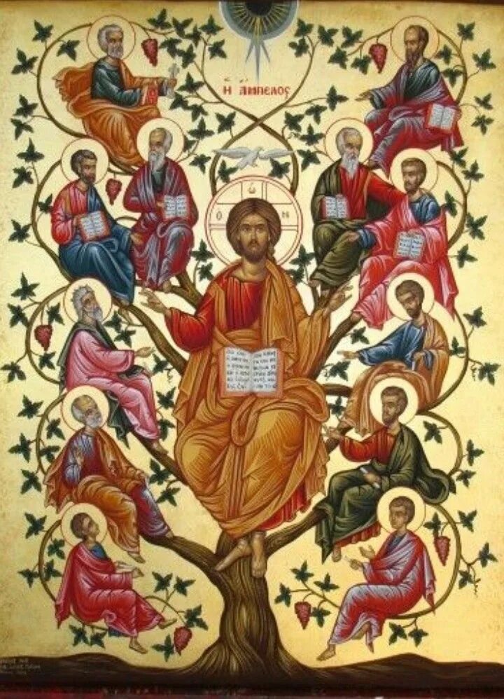 Икона древо господне. Икона древо иессеево родословие иисуса. Икона спас лоза апостолы. Дерево жизни икона с плодами вода. Древо иессеево икона божией матери.