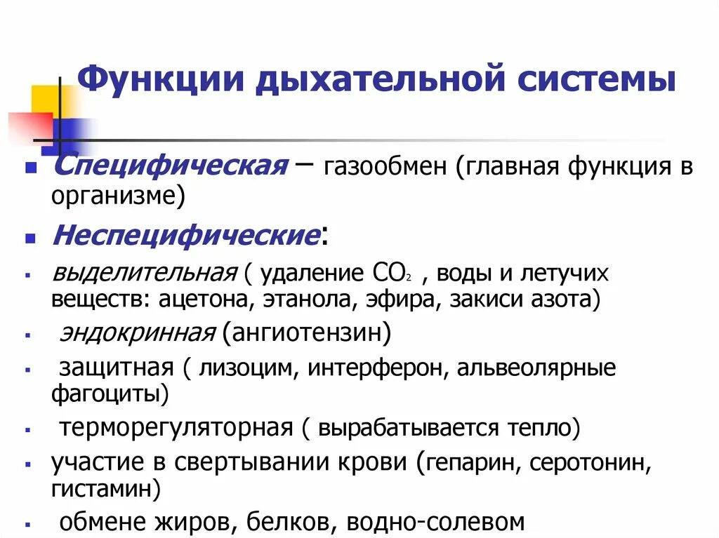 Органы выполняющие дыхательную функцию. Функции дыхания. Функции дых системы. Функции системы дыхания. Органы системы дыхания и их функции.