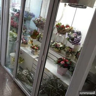 Авито омск цветы