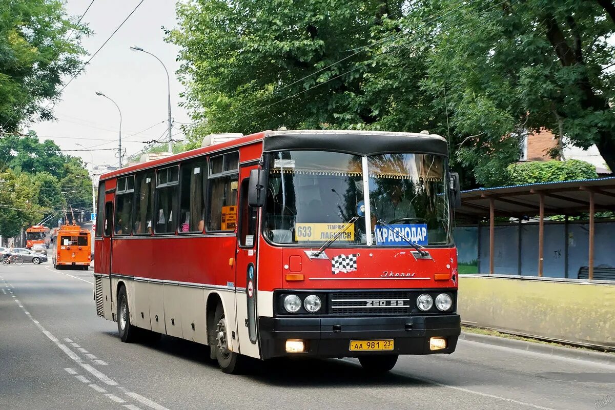 Икарус 250. Икарус 250.59. Икарус 250-256. Ikarus 250.59 Краснодар. Лабинск краснодар автобус на сегодня