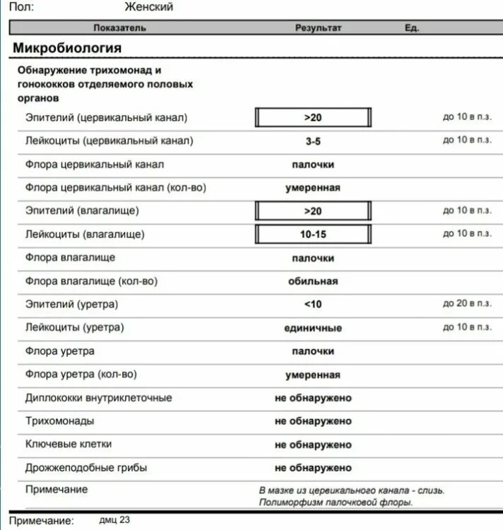Повышены лейкоциты в слизи. Мазок цервикального канала лейкоциты норма. Норма лейкоцитов в цервикальном канале.