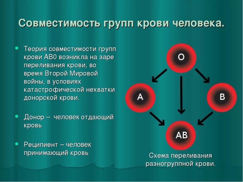 Совместимость групп крови. Группа крови. Ab группа крови. Система ав0 группы крови.