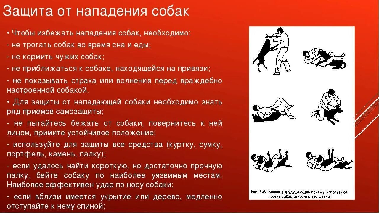 Способы нападения. Защита при нападении собаки. Как защищаться при нападении собаки. Как избежать нападения. Как защититься от собаки.