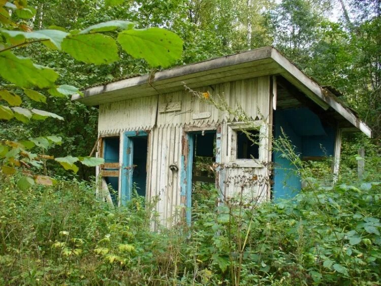 Березка ульяновск. Заброшенный лагерь берёзка Глотовка. Глотовка Пионерский лагерь Березка. Пионерский лагерь Березка Ульяновск Глотовка. Лагерь Березка Ясашная Ташла.