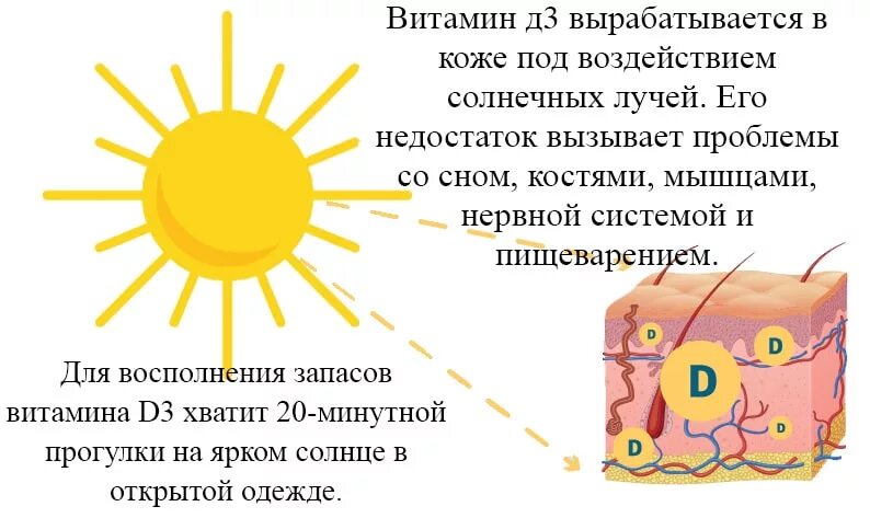 Под влиянием ультрафиолетовых лучей в коже. Выработка витамина д на солнце. выработка витамина д в коже. витамин д в коже вырабатывается. солнечные лучи витамин д.