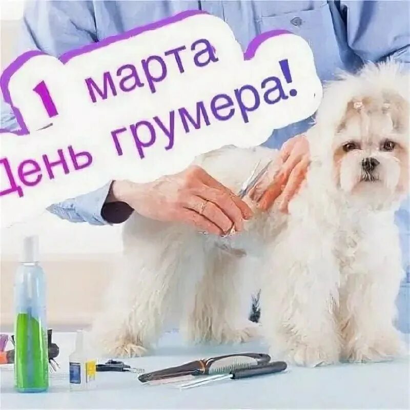 грумер это сленг