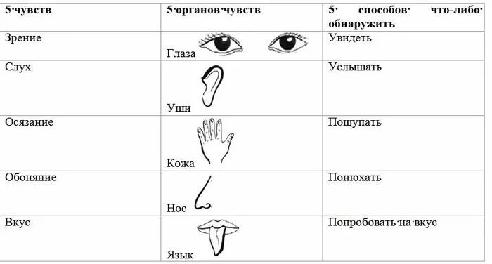Класс органы чувств таблица. Органы чувств человека схема. условные знаки орган зрения. условные знаки гигиены органов зрения. органы чувств человека задания.
