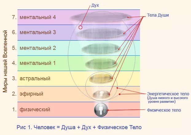 Ментальное определение. Тонкие тела. Физическое астральное ментальное тело.