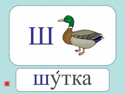 Шутка 5 буквы