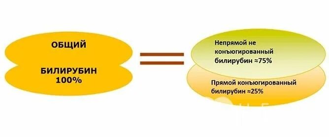 Билирубин. Прямой и непрямой билирубин. Прямой и непрямой билирубин биохимия норма. Прямой билирубин и непрямой билирубин. Соотношение прямого и непрямого билирубина.